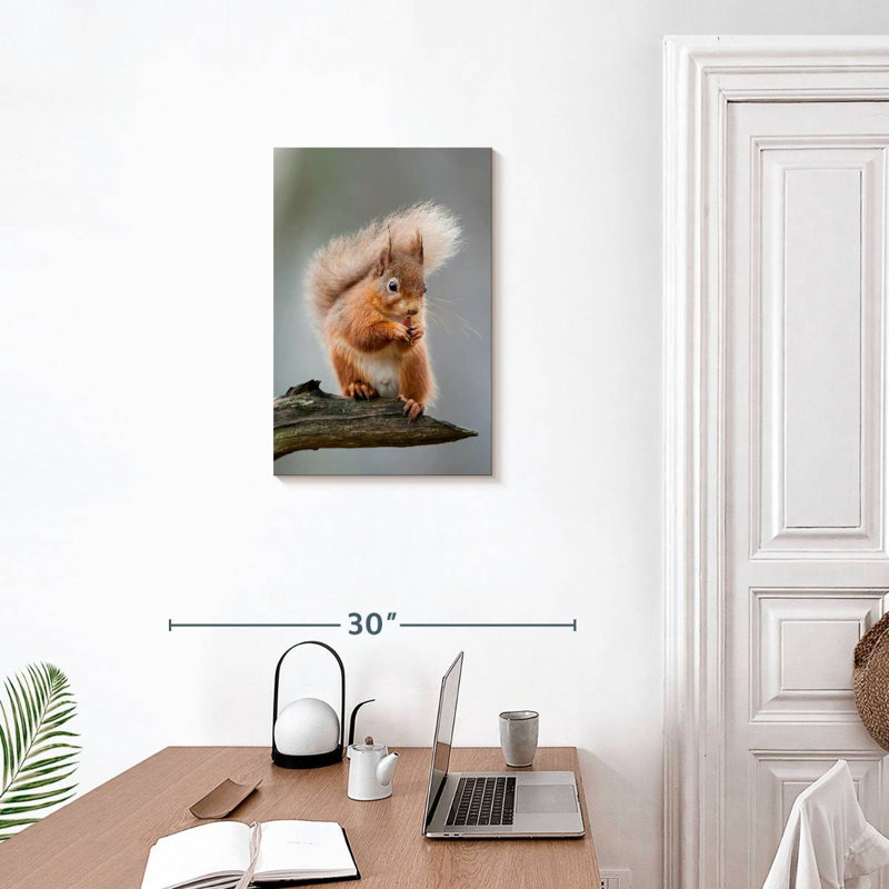 Brampt Red Squirrel Eating On A Branch, 24" H x 16" W