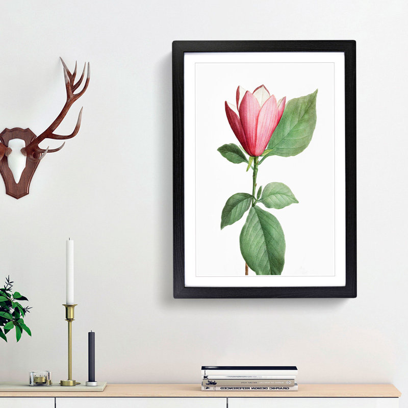 Japanese Pink Magnolia Flower by Pierre-Joseph Redoute - Picture Frame Graphic Art Print, 65cm H x 48cm W x 2cm D