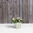 Alaunah Pot Planter-840690736-840690747
