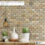 Carreau de mosaïque rustique 1 x 2
