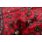 Rizbaft Red Rug 3'5" x 5'7"