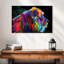 Lion coloré Alpha-107705570