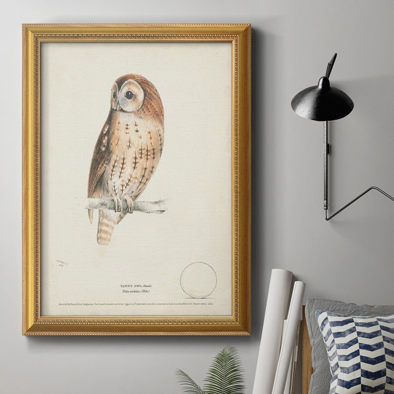 Tawny Owl Tawny Owl - impression, H 20 po x l 16 po x P 2,5 po