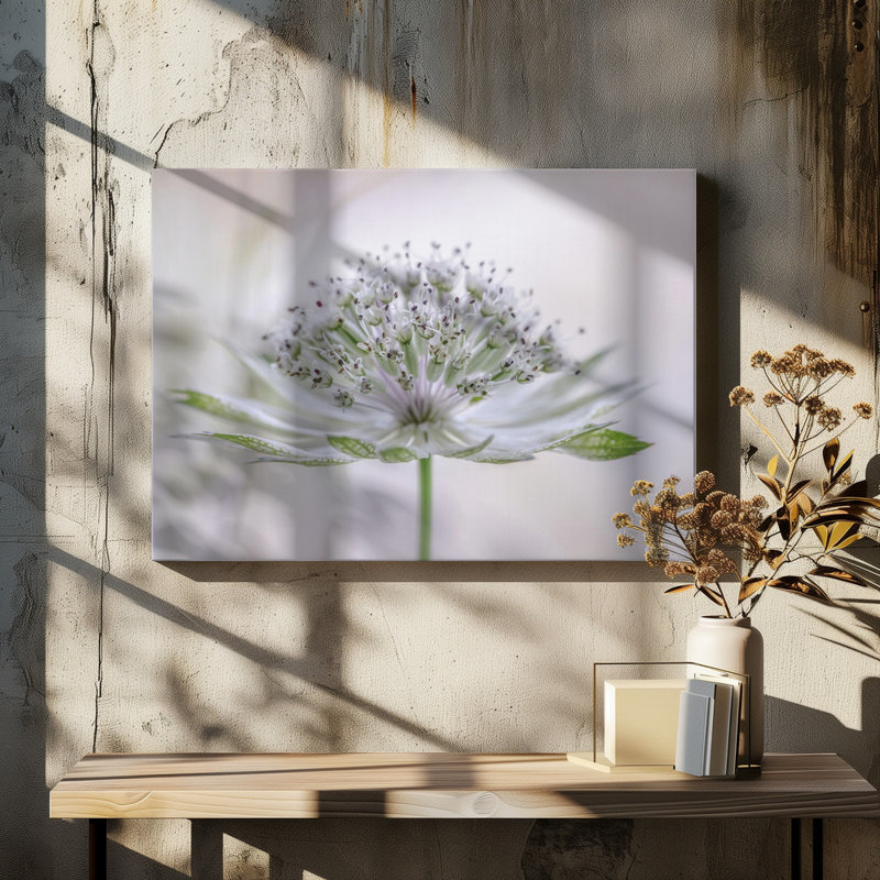 Wrapped Canvas Print, 81.28 cm H x 121.92 cm W
