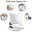 Pillow Inserts Set Of 2 Decorative Square Throw 18" Pillows With Cover For Sofa, Couch, And Bed
