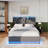 Queen Size Upholstered Bed-1951420996