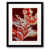 Black Framed Paper is unavailable