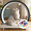Ensemble de 100 balles à pompons colorées pour chat, jouets interactifs doux et moelleux de 2,5 cm (1 pouce) pour l'exercice et le jeu des chatons calmes.