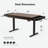Shian Desk