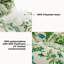 Outdoor Cushion-1160229026