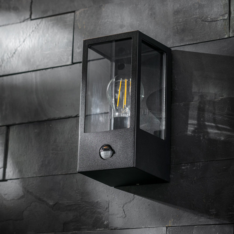 Aadya 22cm H Outdoor Wall Lantern