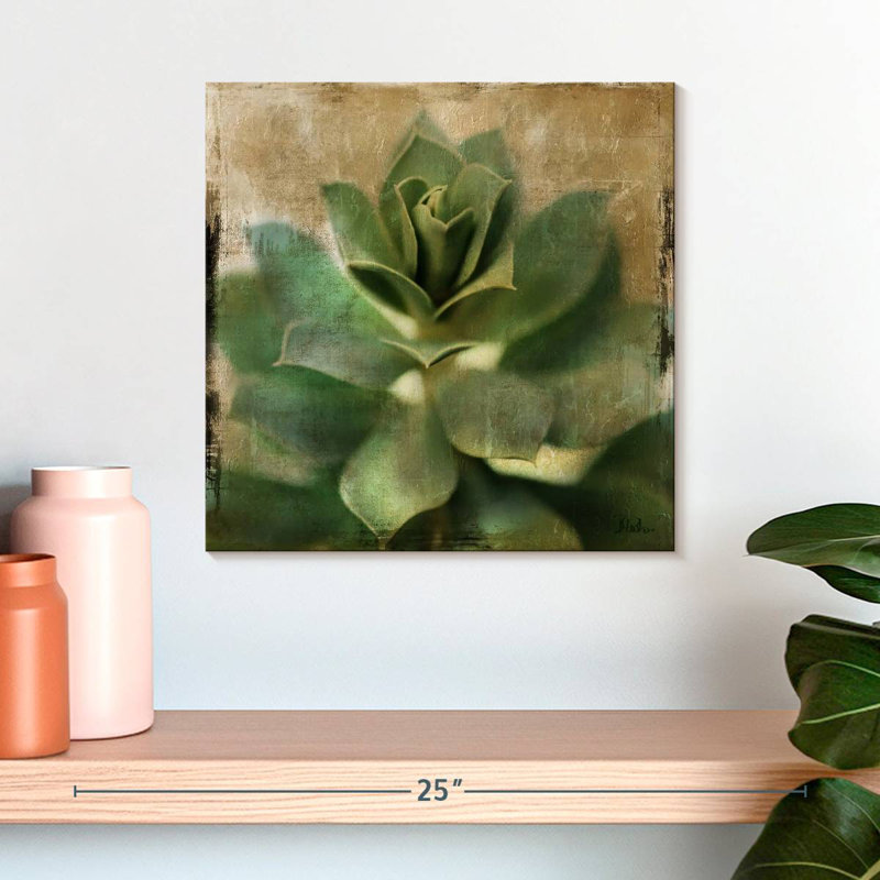 Harnek Succulent I