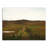 " Scottish Path " Painting Print