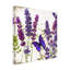Art sur toile «Bachelo Sasha Lavande I»-104104487