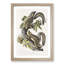 Hare Squirrels by J.W. Audubon - Picture Frame Painting Print-55580270-55580269