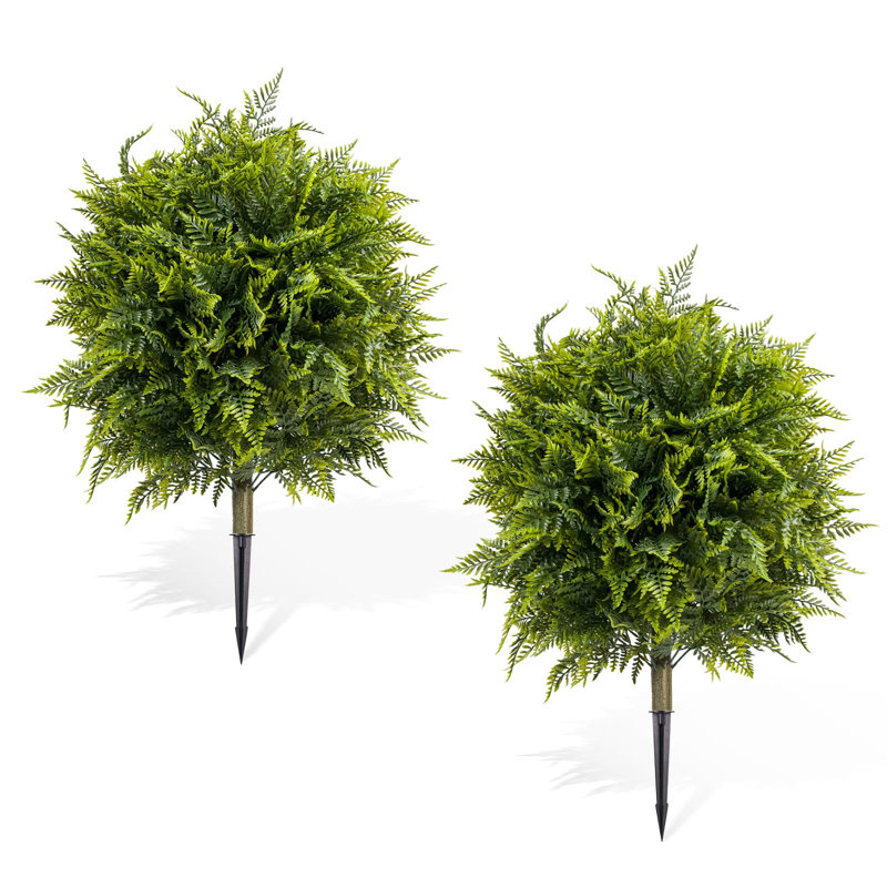 90cm Plant
