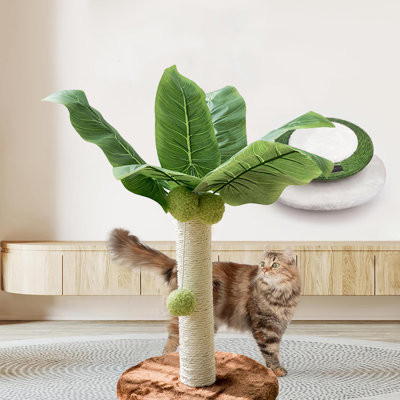 Grattoir petit chat, grattoir en sisal avec 3 pompons suspendus pour chats d'intérieur