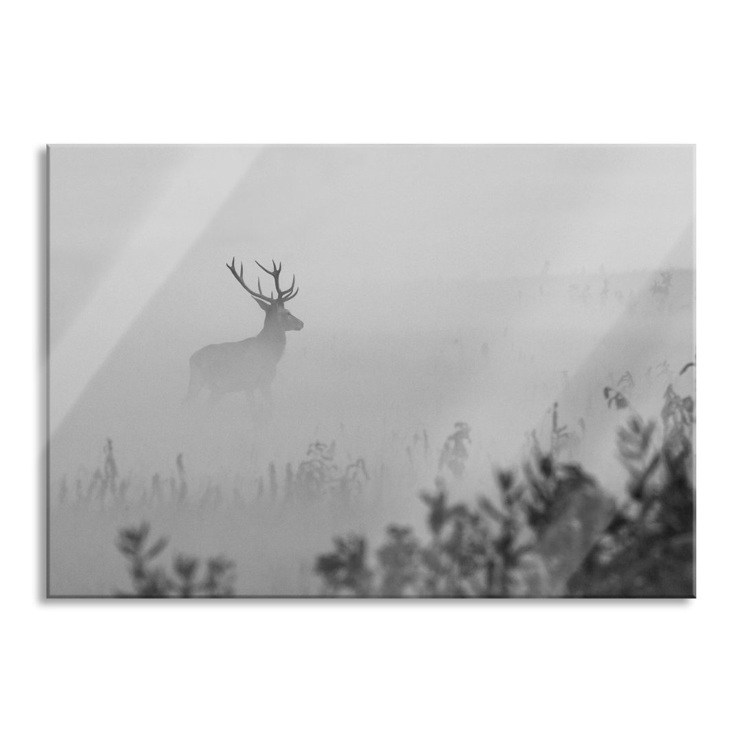 Glasbild Hirsch im Nebel