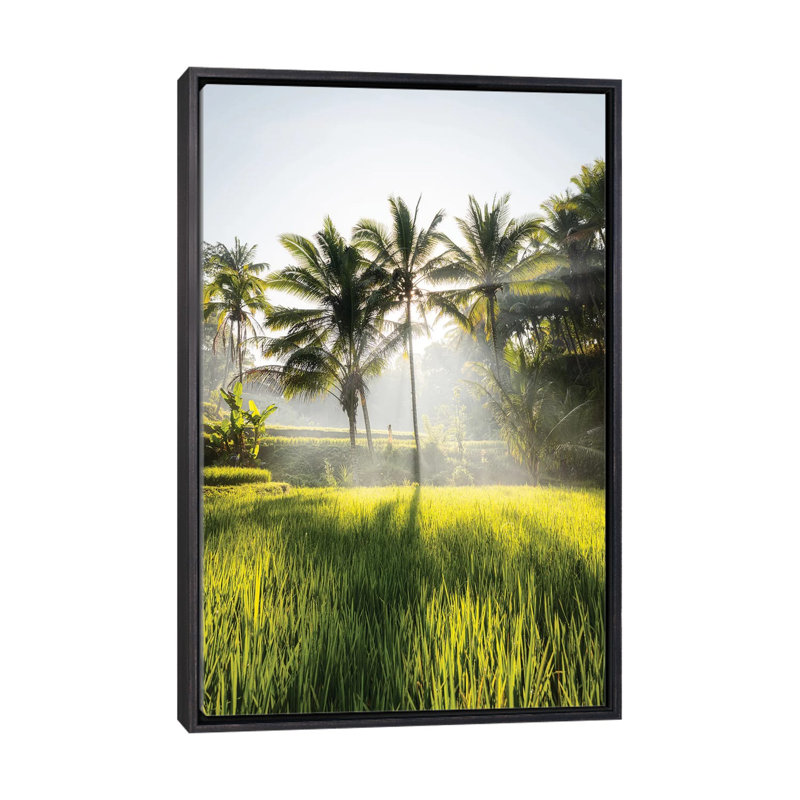 Bali II par Daisuke Uematsu - reproduction de photo, Pas de tapis, H 32 po x l 48 po x 1,5 po, Toile avec cadre noir patiné