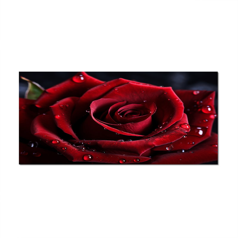 Rose rouge avec gouttes de pluie I - art mural floral encadré, Toile tendue, H 28 po x l 60 po x P 1,5 po