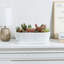 Textured Ceramic Indoor Planter Pot-2016898049