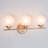 Bradden 3-Light Dimmable Gold Vanity Light