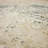 Memento Abstract Indoor Rug-99908151
