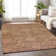 Segin Area Rug with Non-Slip Backing