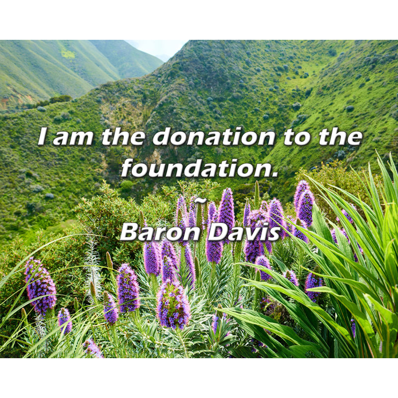 Citation du Baron Davis: Je suis le don à la fondation.