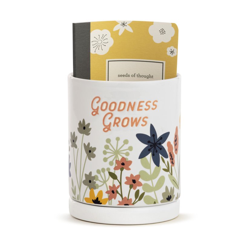 Ceramic Pot Planter