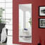 Miroir pleine longueur 64 po x 22 po-1944015595-1944015605