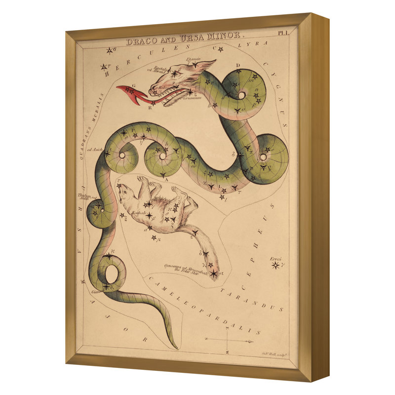 Draco Print by Grand Archives, Gold Framed, 32" H x 23" W