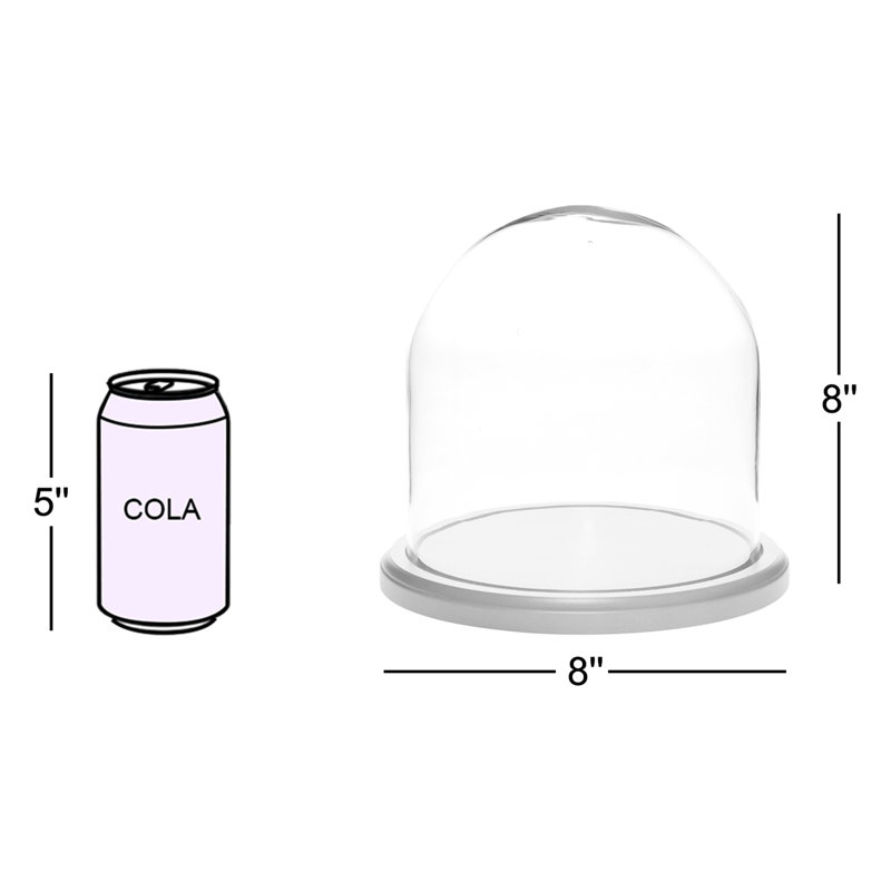 Jenett 8" x 8" Glass Display Dome Cloche, No Base