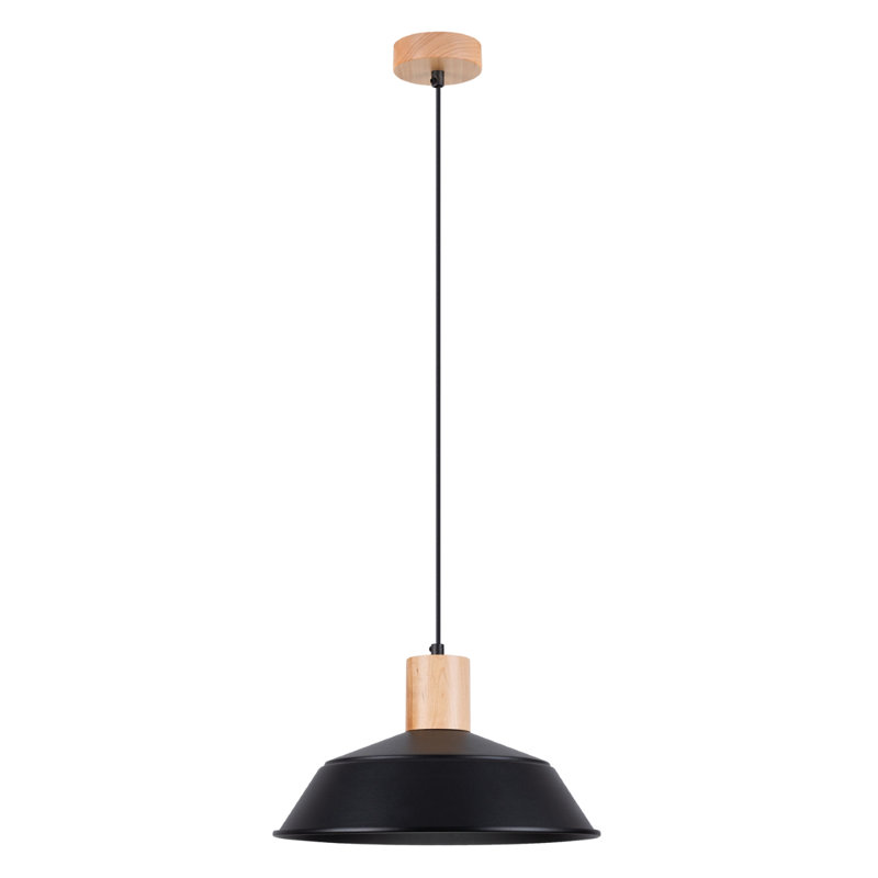 1 - Light Stainless Steel Pendant, Black