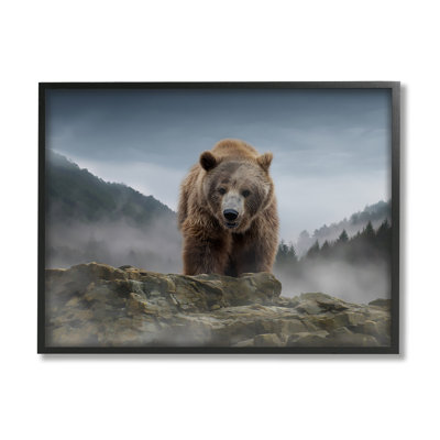 Roaring Brown Grizzly Bear Rocky Mountain Top View - Photographie à cadre flottant sur toile