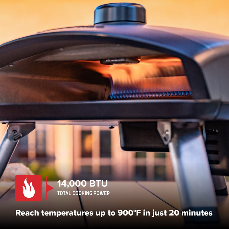 Nexgrill Cast Aluminum Countertop Liquid Propane Pizza Oven