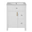Single Bathroom Vanity with Top