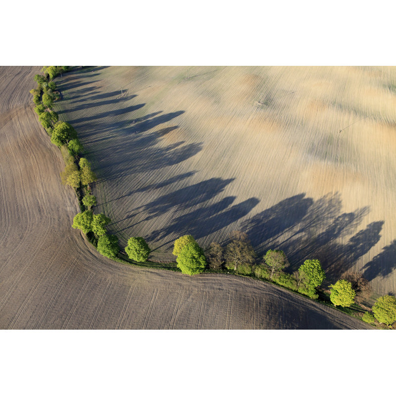 Aerial Photo Of A Field In Spring by DariuszPa - Wrapped Canvas Print, 61cm H x 91cm W