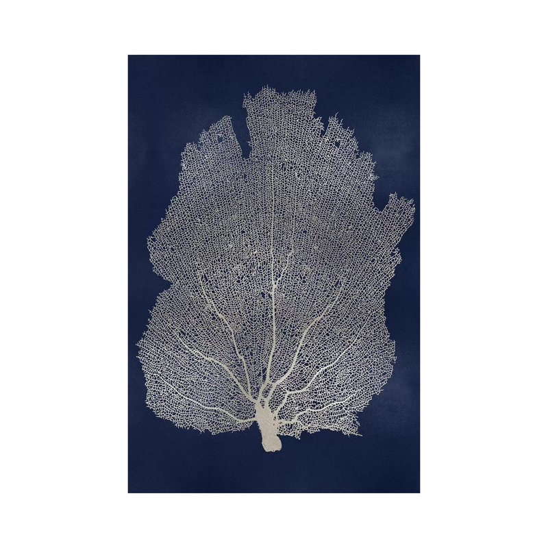 Sea Fan I by Melonie Miller - Print on Canvas, Wrapped Canvas, 66.04cm H x 45.72cm W x 3.81cm D