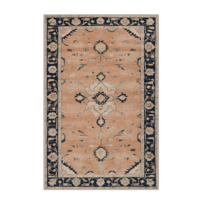 Machine Washable Overdyed Brown Area Rug