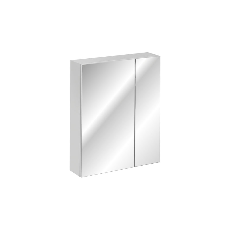 Dineke 600mm W 750mm H Surface Frameless Medicine Cabinet Mirror 2 Fixed
