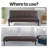 Armaquis Twin 66'' Faux Leather Convertible Sofa-1806124479