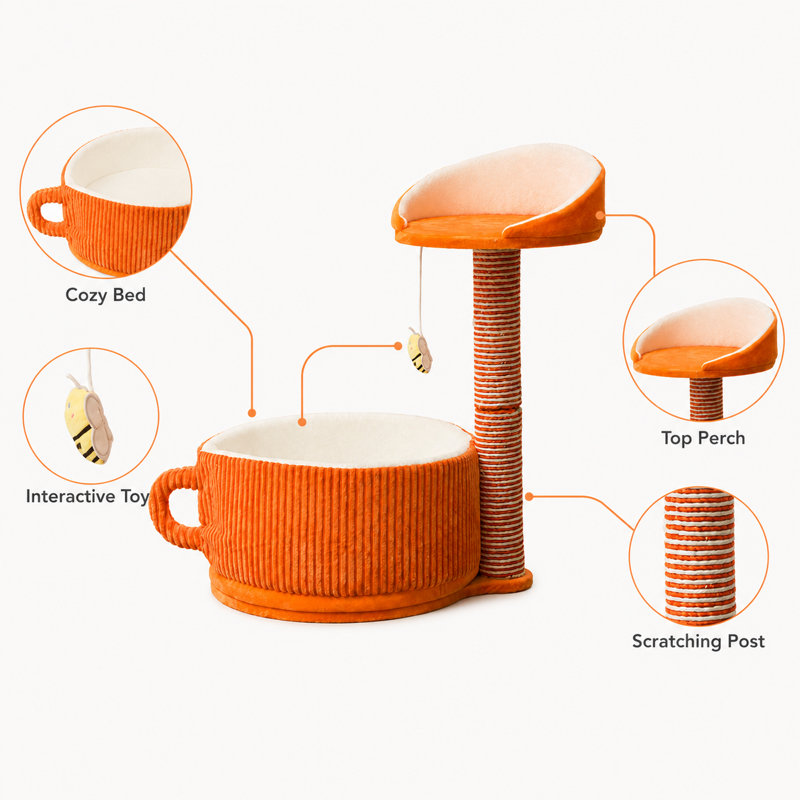 Arbre à chat tout-en-un compact pour petits appartements, Orange