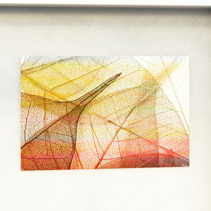 Apart by Parvez Taj - 1 Piece Wrapped Canvas Wall Art, 30cm H x 45cm W x 5cm D