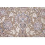 Tapis turc traditionnel en soie 7 x 10