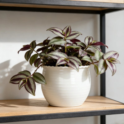 Round Vanilla Dream Recycled Resin Plant Pot