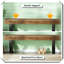 Tabouret de plante