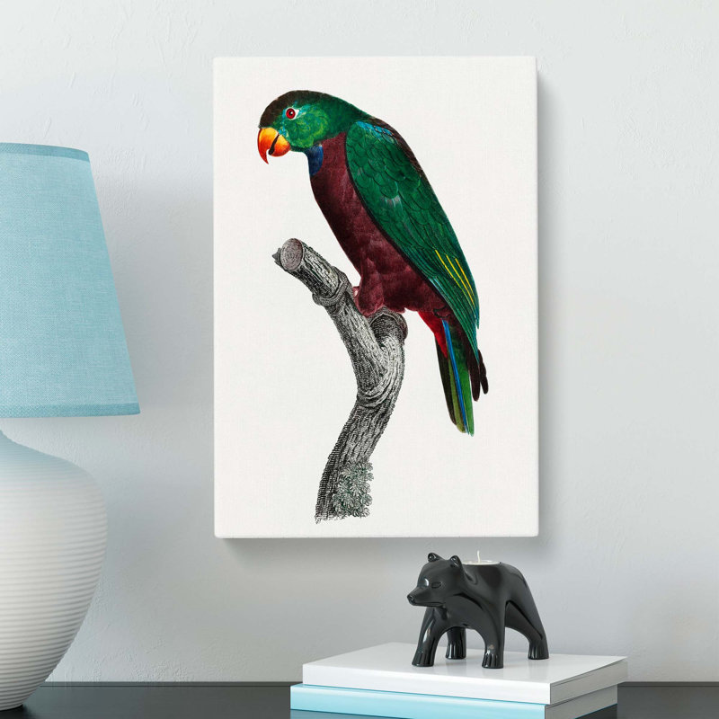 Parrot by F. Levaillant - Wrapped Canvas, 60cm H x 40cm W x 3cm D