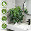 Arbre artificiel plante tropicale, pot de fleur blanc, arbre artificiel, bureau à la maison, salon, maison de campagne, arbre décoratif moderne, pas d'arrosage, arbre artificiel