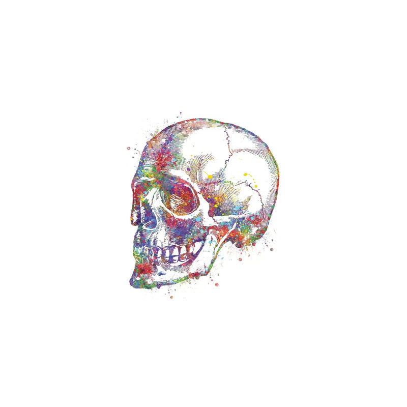 Skull Persp 1 Piece Wrapped Canvas Painting, 101.6 cm H x 66.04 cm W x 3.175 cm D